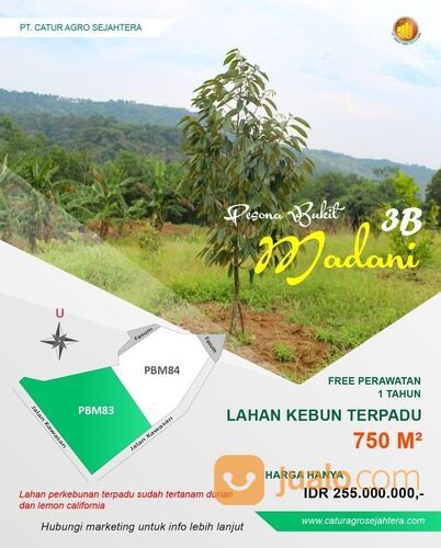 Pesona Bukit Madani - Kavling Kebun Produktif Kawasan Wisata dan villa di Bogor Timur