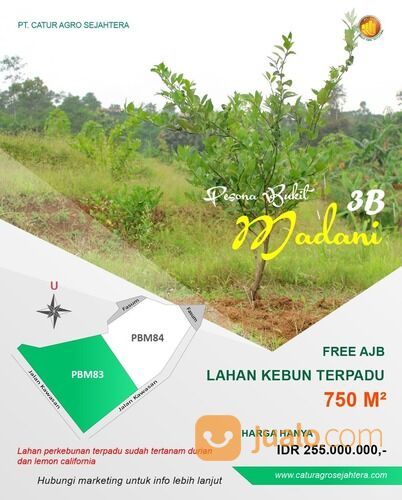 Pesona Bukit Madani - Kavling Kebun Produktif Kawasan Wisata dan villa di Bogor Timur