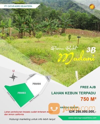 Pesona Bukit Madani - Kavling Kebun Produktif Kawasan Wisata dan villa di Bogor Timur