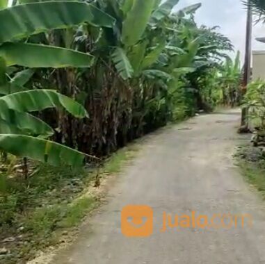 Tanah 2 are, Jl. Batan Celagi Pangkung Palu Padonan Tibubeneng Kuta Utara