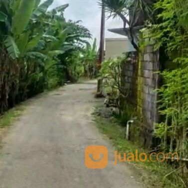Tanah 2 are, Jl. Batan Celagi Pangkung Palu Padonan Tibubeneng Kuta Utara