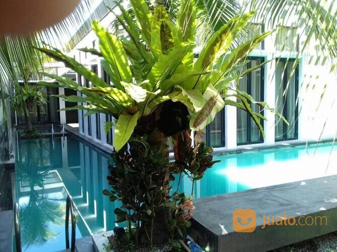 Rumah Mewah dan Luas di Jl Linggar Jati Kota Medan