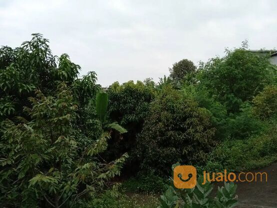 TANAH JL KEDUNGMUNDU RAYA SEMARANG JAWA TENGAH