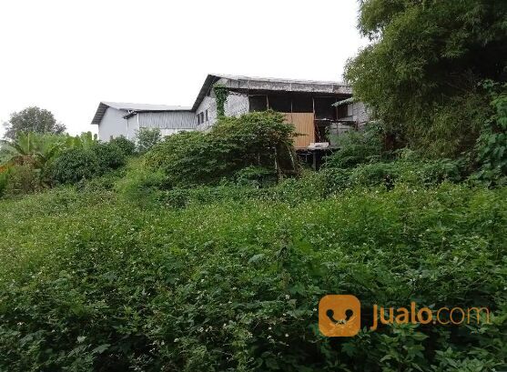 TANAH JL KEDUNGMUNDU RAYA SEMARANG JAWA TENGAH