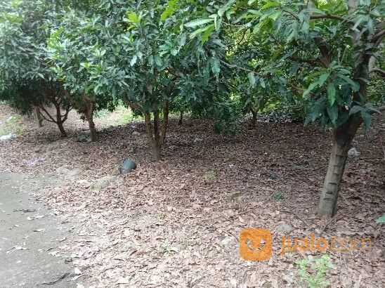 TANAH JL KEDUNGMUNDU RAYA SEMARANG JAWA TENGAH