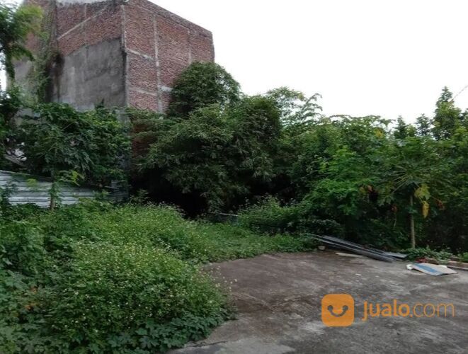 TANAH JL KEDUNGMUNDU RAYA SEMARANG JAWA TENGAH