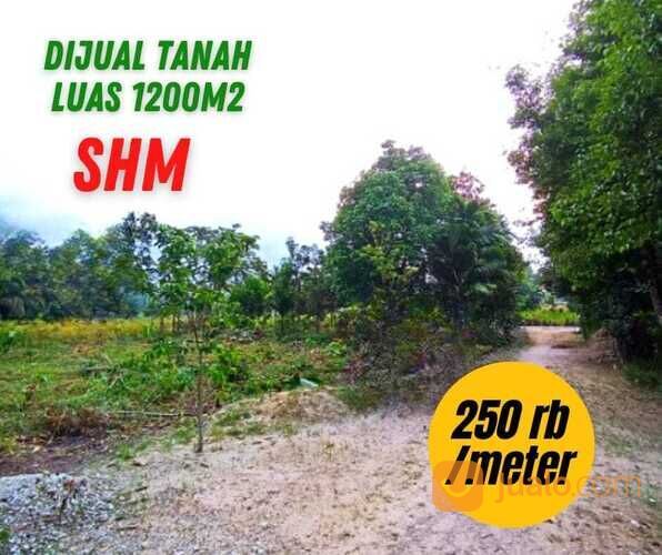 Tanah Kualu, 60x20 M2