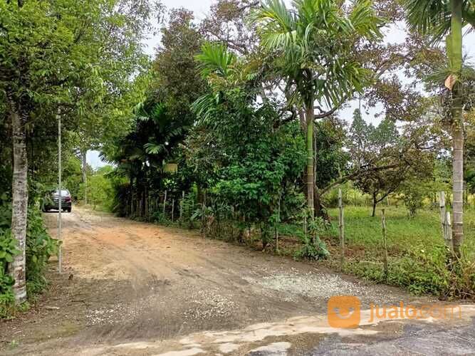 Tanah Kualu, 60x20 M2