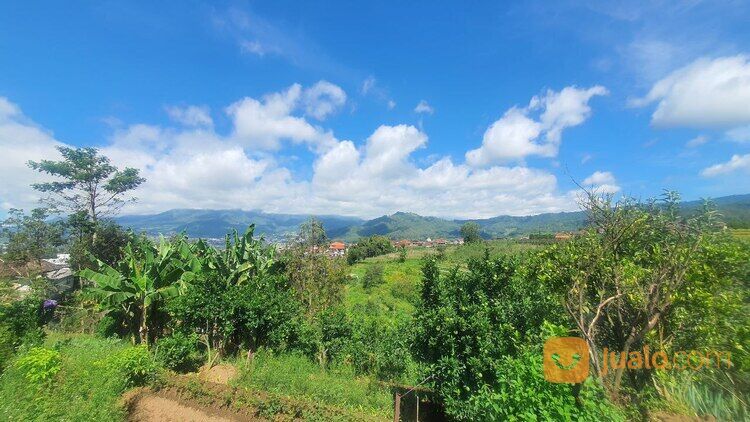 Villa Konsep Kebun Apel di Bumiaji Kota Batu Malang