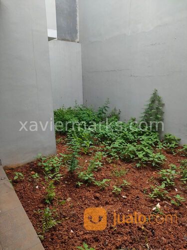 GREEN LAKE CLUSTER AMERIKA LATIN