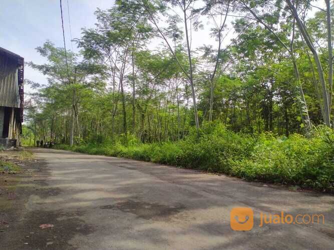 Tanah Murah Magelang, 3 Menit Superindo Pakelan