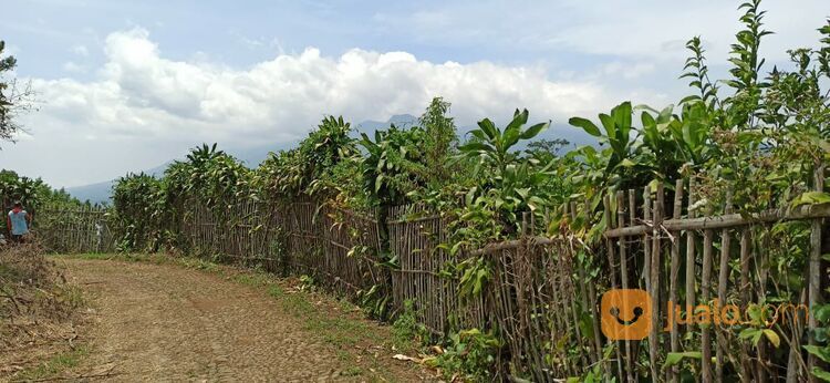 Murah, Tanah Kebun Lemon di Bumiaji Kota Batu Malang