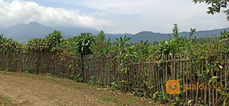 Murah, Tanah Kebun Lemon di Bumiaji Kota Batu Malang