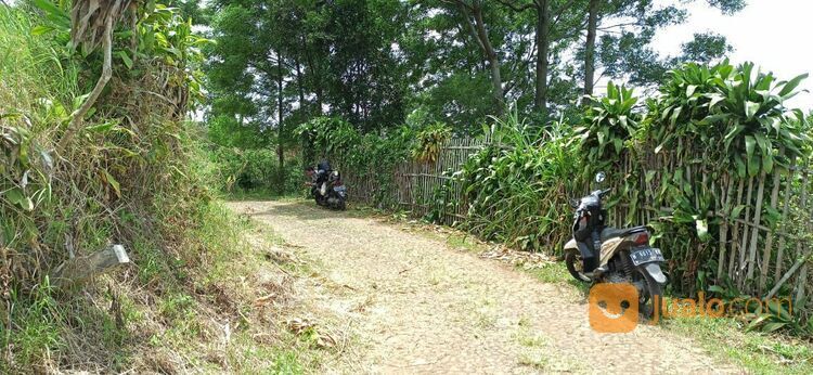 Murah, Tanah Kebun Lemon di Bumiaji Kota Batu Malang