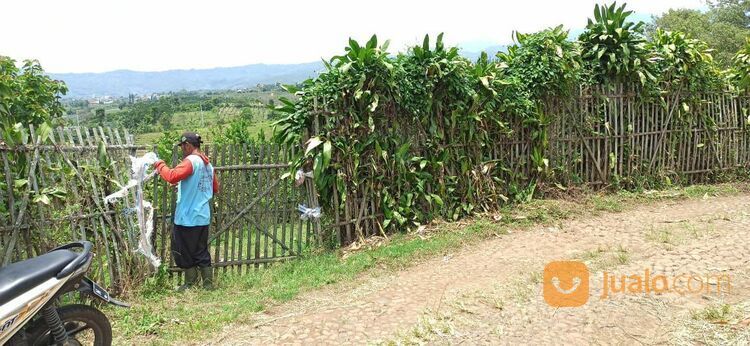 Murah, Tanah Kebun Lemon di Bumiaji Kota Batu Malang