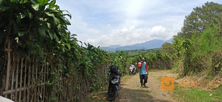 Murah, Tanah Kebun Lemon di Bumiaji Kota Batu Malang