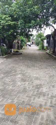 Surya Citra Tama Tulangan