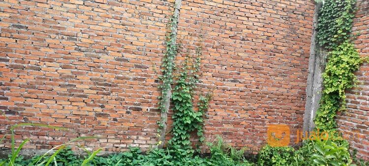 Surya Citra Tama Tulangan