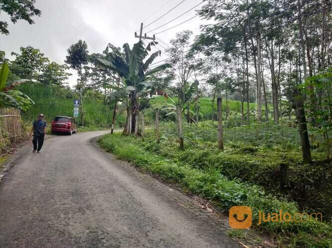Tanah Sawah Luas dan Super Strategis Potensial di Kota Batu