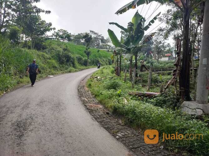 Tanah Sawah Luas dan Super Strategis Potensial di Kota Batu