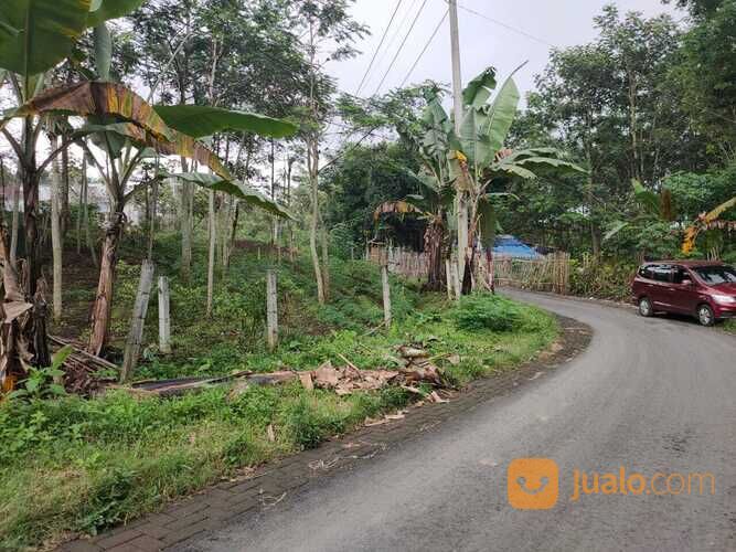 Tanah Sawah Luas dan Super Strategis Potensial di Kota Batu