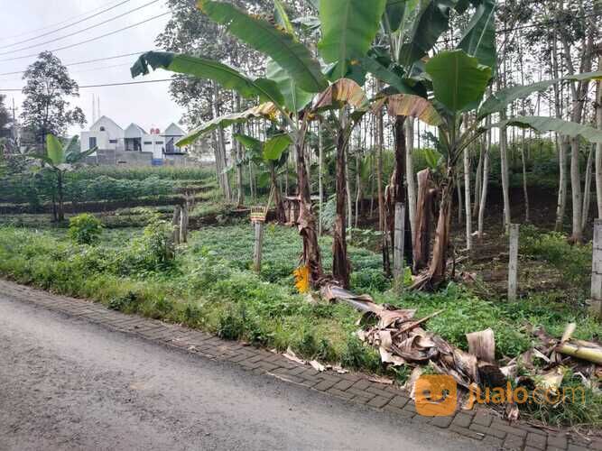 Tanah Sawah Luas dan Super Strategis Potensial di Kota Batu