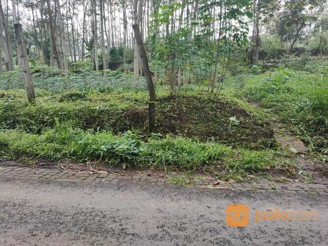 Tanah Sawah Luas dan Super Strategis Potensial di Kota Batu