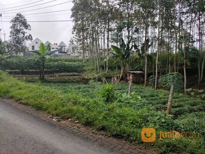 Tanah Sawah Luas dan Super Strategis Potensial di Kota Batu