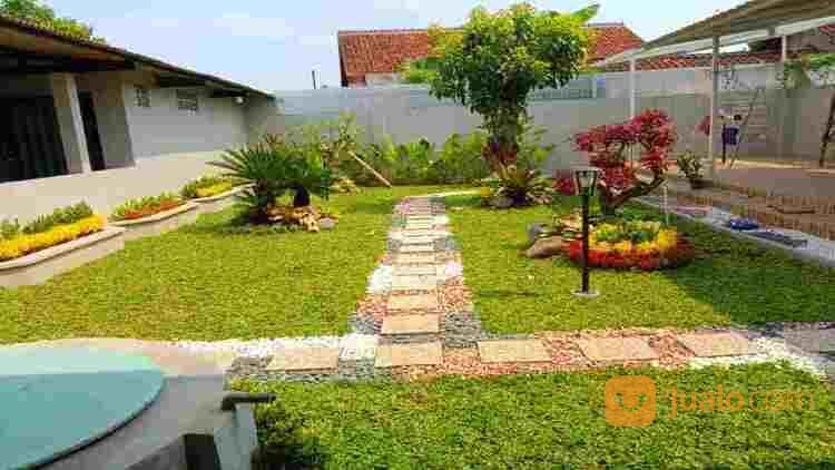 Jasa Taman Jogja, Tukang Taman Murah