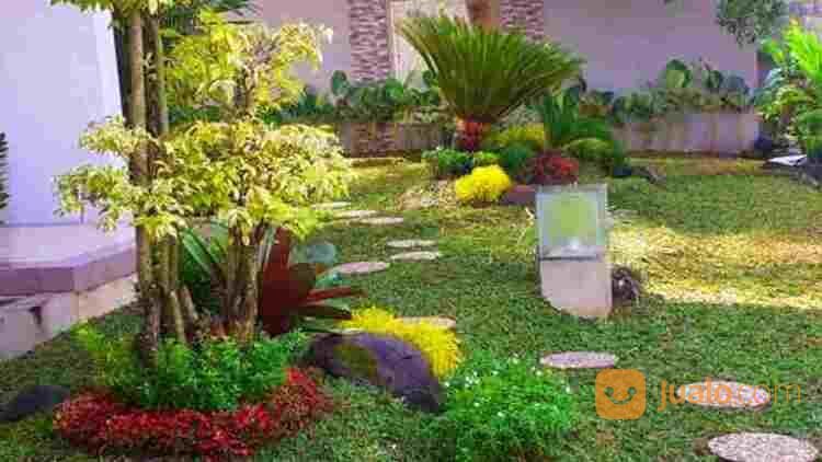 Jasa Taman Jogja, Tukang Taman Murah