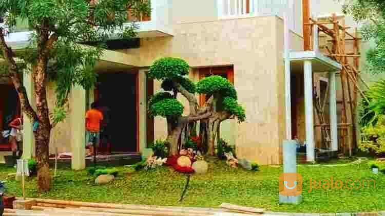 Jasa Taman Jogja, Tukang Taman Murah