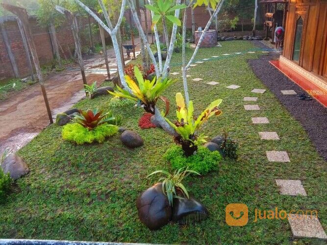 Jasa Taman Jogja, Tukang Taman Murah