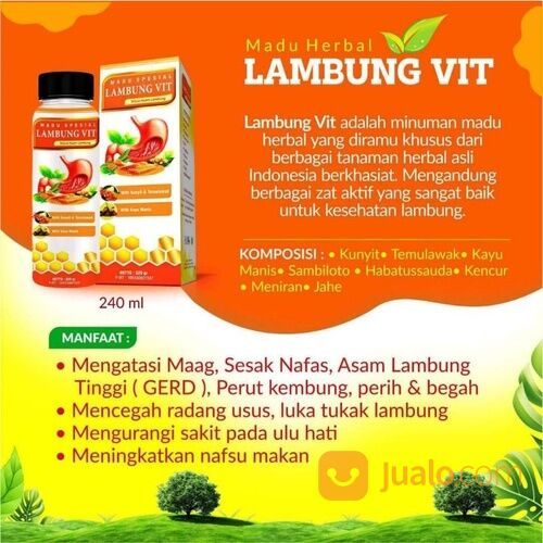 Madu Spesial Asam Lambung Vit