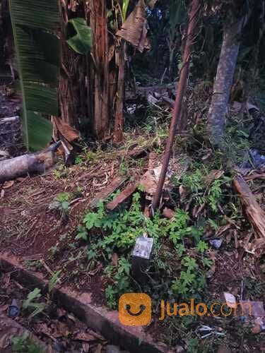 Tanah Pasekaran Batang, SHM, Siap Balik Nama