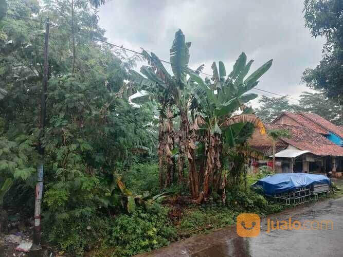 Tanah Pasekaran Batang, SHM, Siap Balik Nama