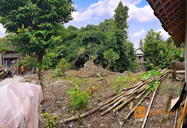 TANAH Pekarangan Utara Lapangan Pandowoharjo