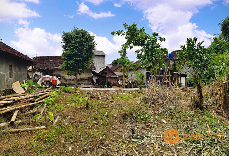 TANAH Pekarangan Utara Lapangan Pandowoharjo