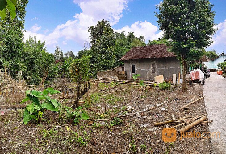 TANAH Pekarangan Utara Lapangan Pandowoharjo