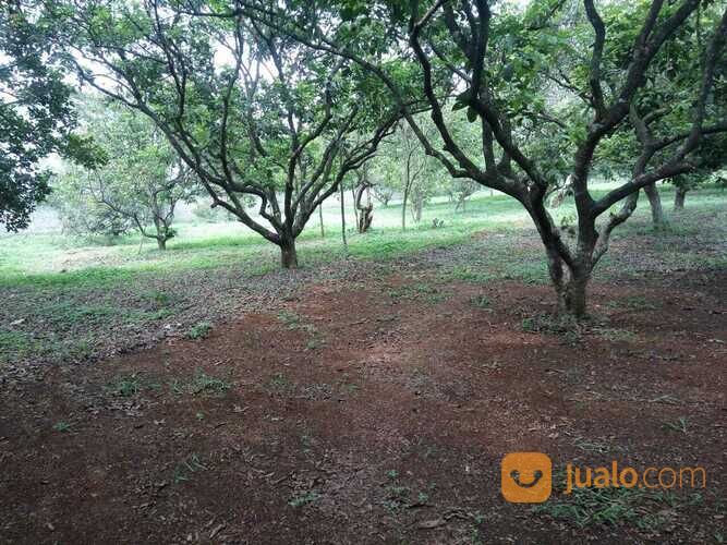 Tanah Murah Pinggir Jalan Raya Setu Bekasi