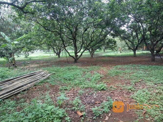 Tanah Murah Pinggir Jalan Raya Setu Bekasi