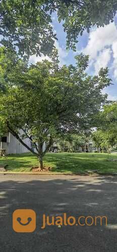 Kavling Tanah The Avani Cluster Anantha Bsd City Tangerang