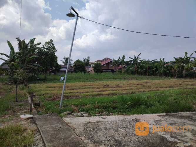 Tanah Murah Delima Panam, Surat SKGR