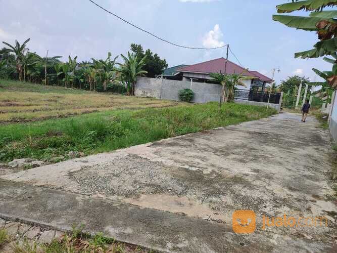 Tanah Murah Delima Panam, Surat SKGR