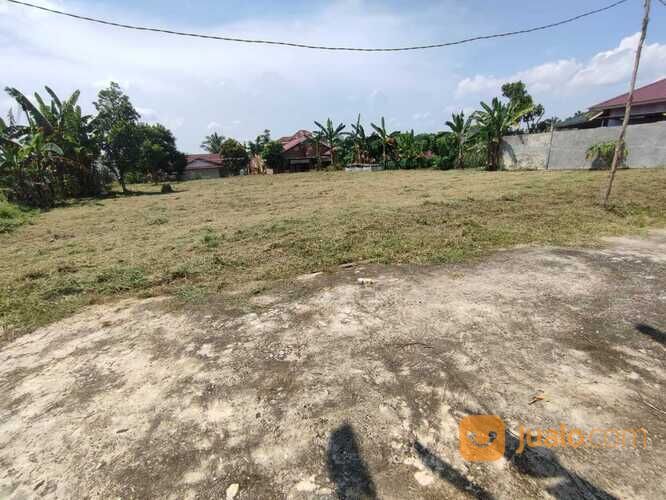 Tanah Murah Delima Panam, Surat SKGR