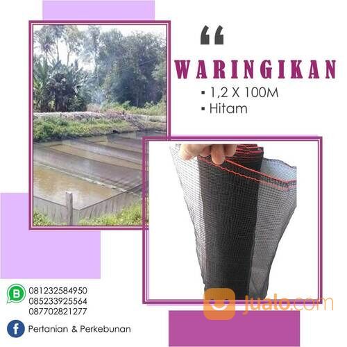 Waring Ikan Arwana (Benang Single) Harga Murah Kualitas Terbaik