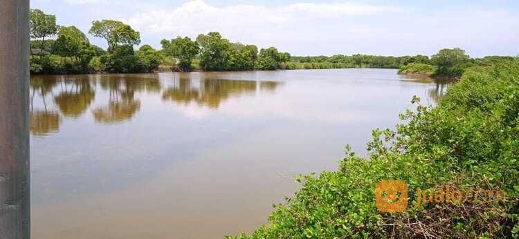 TAMBAK LOKASI TERBAIK UNTUK BUDIDAYA