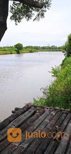 TAMBAK LOKASI TERBAIK UNTUK BUDIDAYA