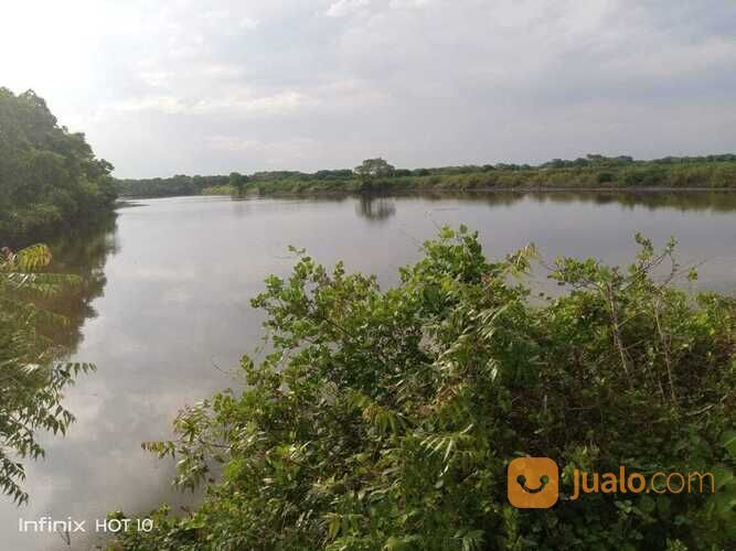 TAMBAK LOKASI TERBAIK UNTUK BUDIDAYA