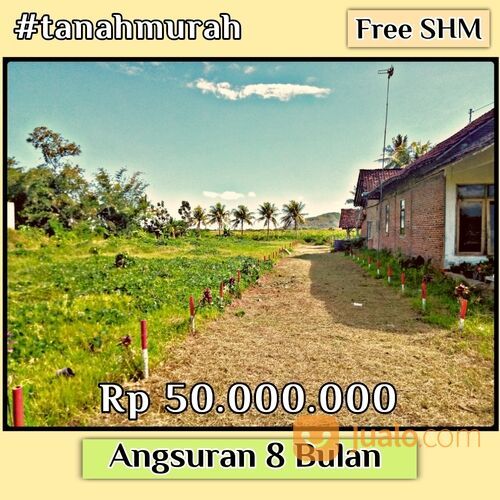 Tanah Murah di Tegalsari, Free SHM