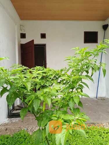 Rumah komplek Taman Alamanda Indah Medan